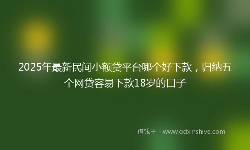 2025年最新民间小额贷平台哪个好下款，归纳五个网贷容易下款18岁的口子
