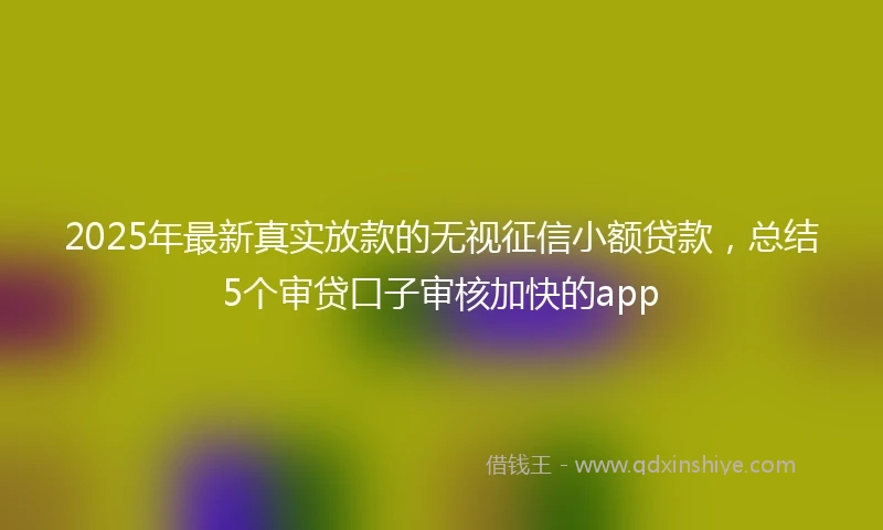 2025年最新真实放款的无视征信小额贷款，总结5个审贷口子审核加快的app
