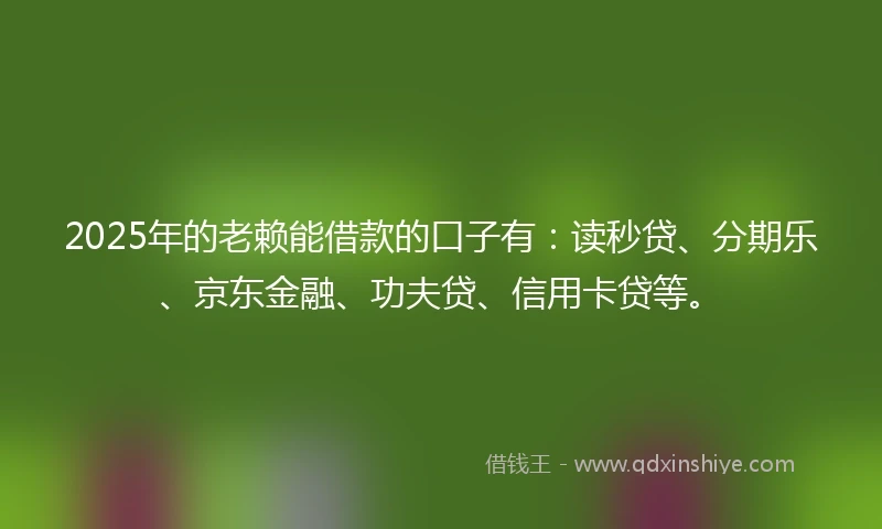 2025年的老赖能借款的口子有：读秒贷、分期乐、京东金融、功夫贷、信用卡贷等。
