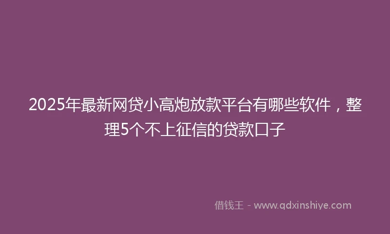 2025年最新网贷小高炮放款平台有哪些软件，整理5个不上征信的贷款口子