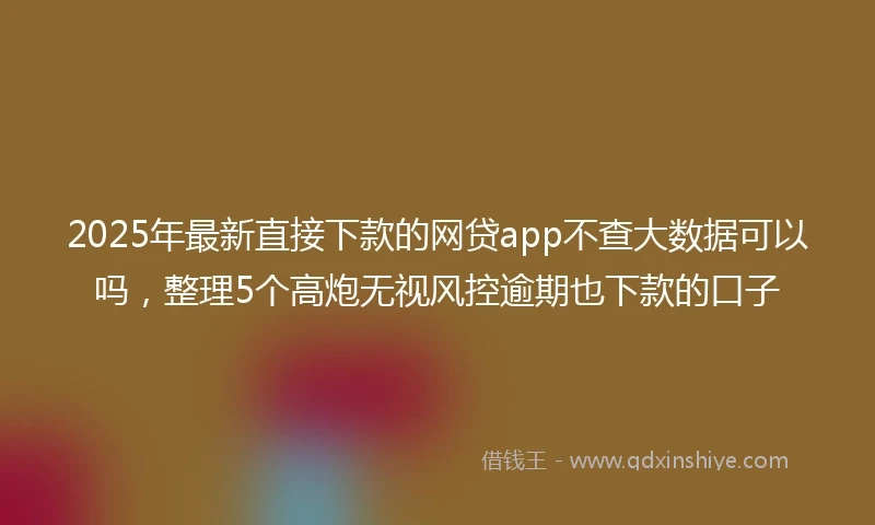 2025年最新直接下款的网贷app不查大数据可以吗，整理5个高炮无视风控逾期也下款的口子