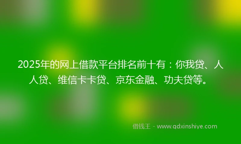 2025年的网上借款平台排名前十有：你我贷、人人贷、维信卡卡贷、京东金融、功夫贷等。