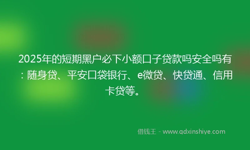2025年的短期黑户必下小额口子贷款吗安全吗有：随身贷、平安口袋银行、e微贷、快贷通、信用卡贷等。