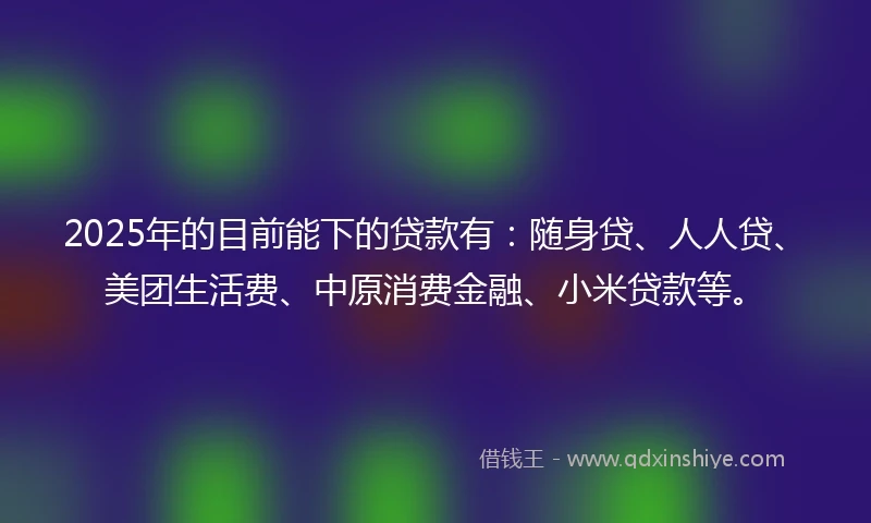 2025年的目前能下的贷款有：随身贷、人人贷、美团生活费、中原消费金融、小米贷款等。