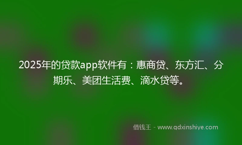 2025年的贷款app软件有：惠商贷、东方汇、分期乐、美团生活费、滴水贷等。