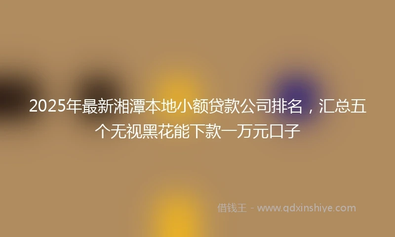 2025年最新湘潭本地小额贷款公司排名，汇总五个无视黑花能下款一万元口子