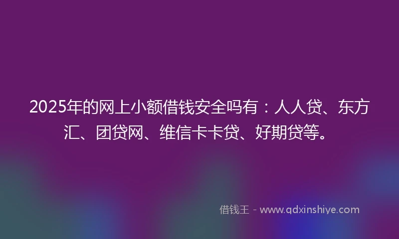 2025年的网上小额借钱安全吗有：人人贷、东方汇、团贷网、维信卡卡贷、好期贷等。
