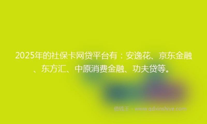2025年的社保卡网贷平台有：安逸花、京东金融、东方汇、中原消费金融、功夫贷等。
