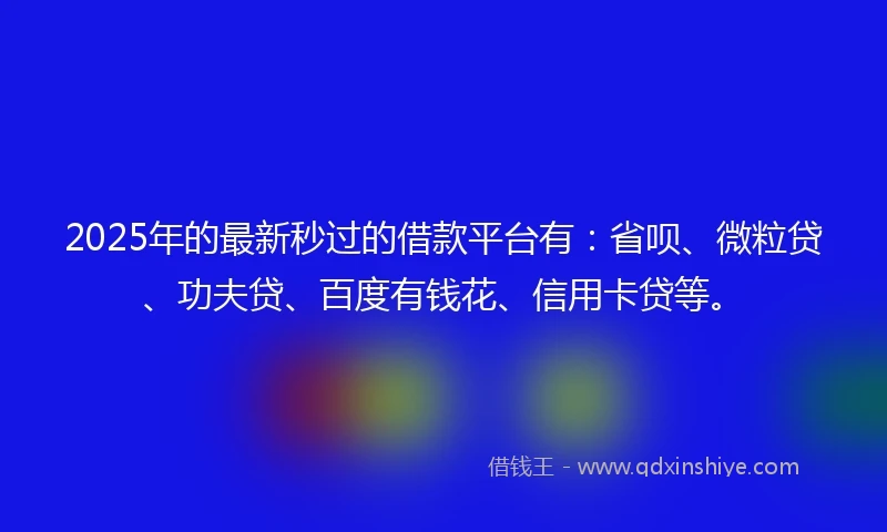2025年的最新秒过的借款平台有：省呗、微粒贷、功夫贷、百度有钱花、信用卡贷等。