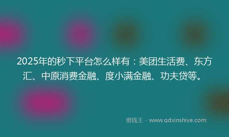 2025年的秒下平台怎么样有：美团生活费、东方汇、中原消费金融、度小满金融、功夫贷等。