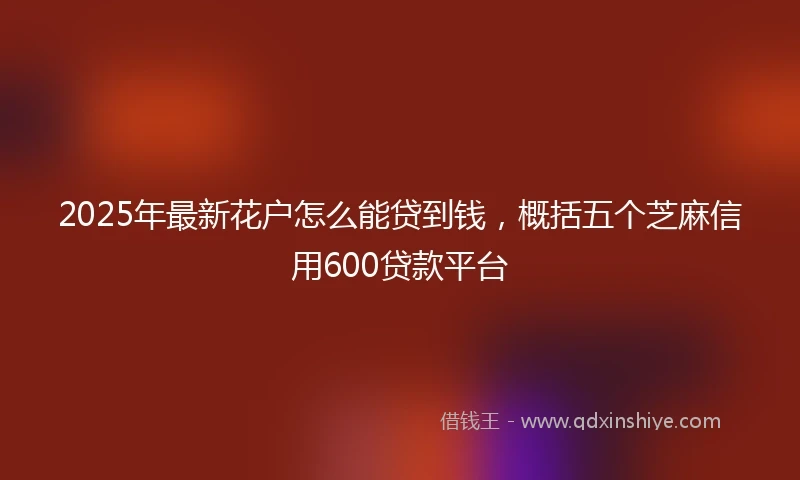 2025年最新花户怎么能贷到钱，概括五个芝麻信用600贷款平台
