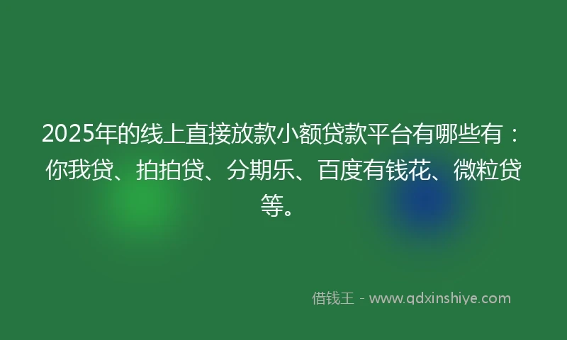 2025年的线上直接放款小额贷款平台有哪些有：你我贷、拍拍贷、分期乐、百度有钱花、微粒贷等。