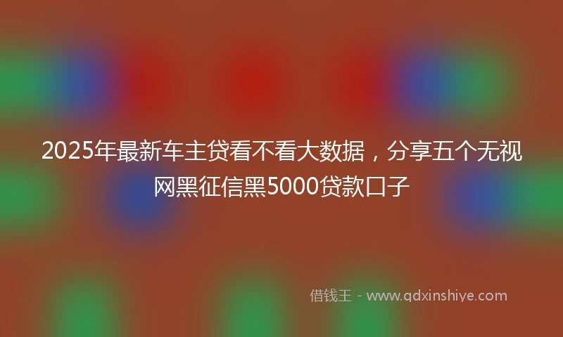 2025年最新车主贷看不看大数据，分享五个无视网黑征信黑5000贷款口子