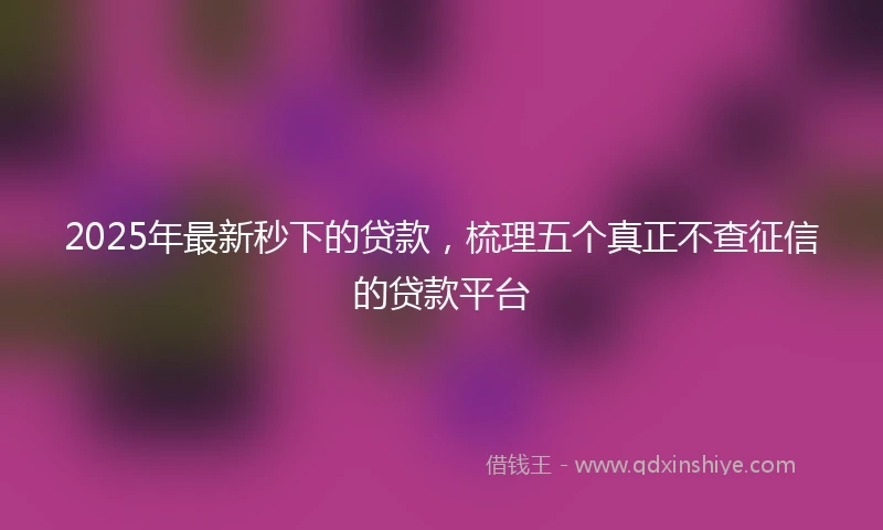 2025年最新秒下的贷款，梳理五个真正不查征信的贷款平台