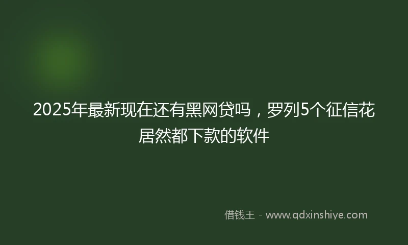 2025年最新现在还有黑网贷吗，罗列5个征信花居然都下款的软件