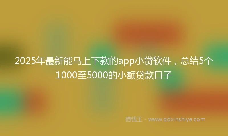 2025年最新能马上下款的app小贷软件，总结5个1000至5000的小额贷款口子