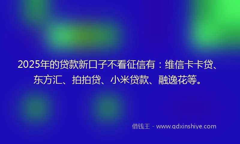 2025年的贷款新口子不看征信有：维信卡卡贷、东方汇、拍拍贷、小米贷款、融逸花等。
