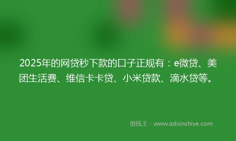 2025年的网贷秒下款的口子正规有：e微贷、美团生活费、维信卡卡贷、小米贷款、滴水贷等。