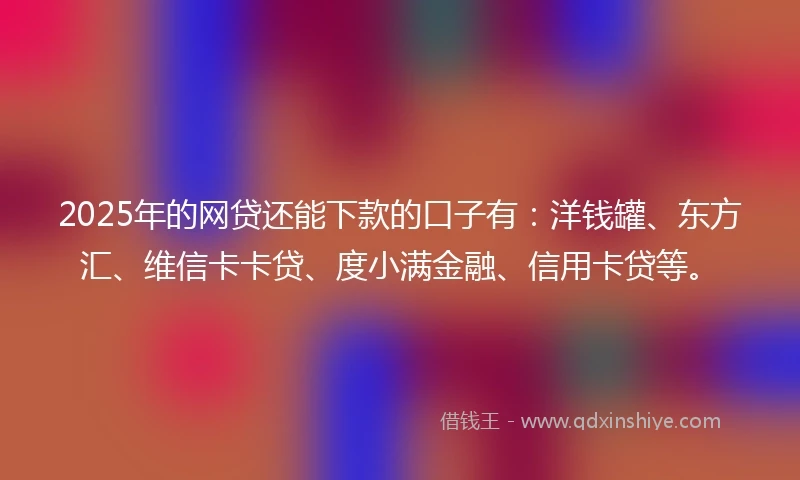 2025年的网贷还能下款的口子有：洋钱罐、东方汇、维信卡卡贷、度小满金融、信用卡贷等。