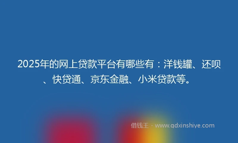 2025年的网上贷款平台有哪些有：洋钱罐、还呗、快贷通、京东金融、小米贷款等。