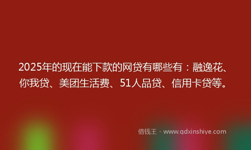 2025年的现在能下款的网贷有哪些有：融逸花、你我贷、美团生活费、51人品贷、信用卡贷等。