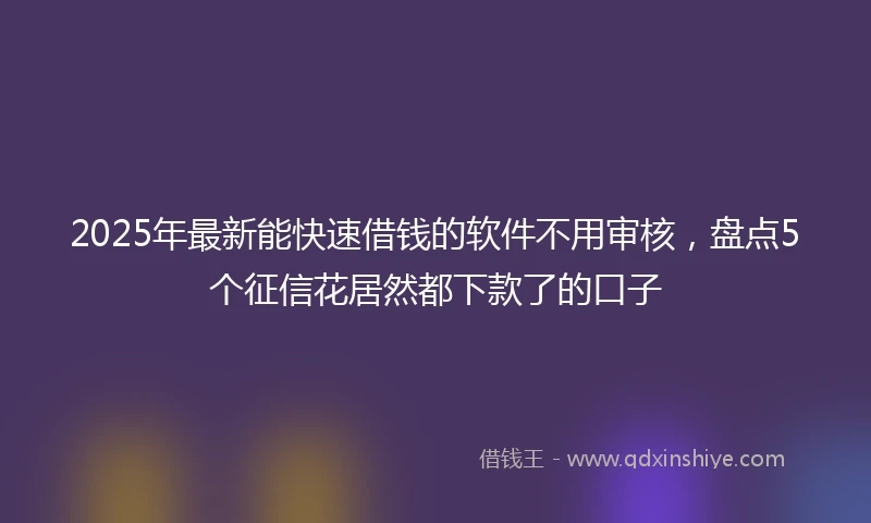 2025年最新能快速借钱的软件不用审核，盘点5个征信花居然都下款了的口子