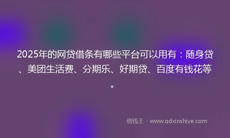 2025年的网贷借条有哪些平台可以用有：随身贷、美团生活费、分期乐、好期贷、百度有钱花等。