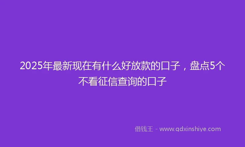 2025年最新现在有什么好放款的口子，盘点5个不看征信查询的口子