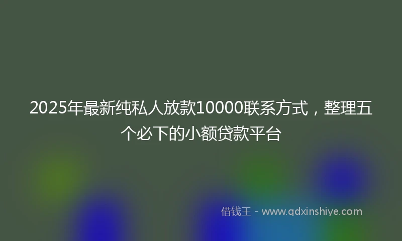 2025年最新纯私人放款10000联系方式，整理五个必下的小额贷款平台