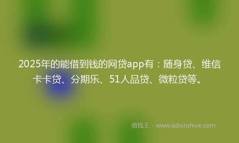 2025年的能借到钱的网贷app有：随身贷、维信卡卡贷、分期乐、51人品贷、微粒贷等。