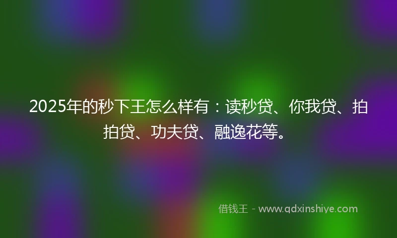 2025年的秒下王怎么样有：读秒贷、你我贷、拍拍贷、功夫贷、融逸花等。