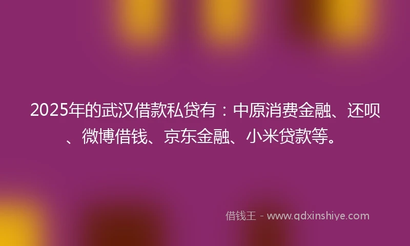 2025年的武汉借款私贷有：中原消费金融、还呗、微博借钱、京东金融、小米贷款等。