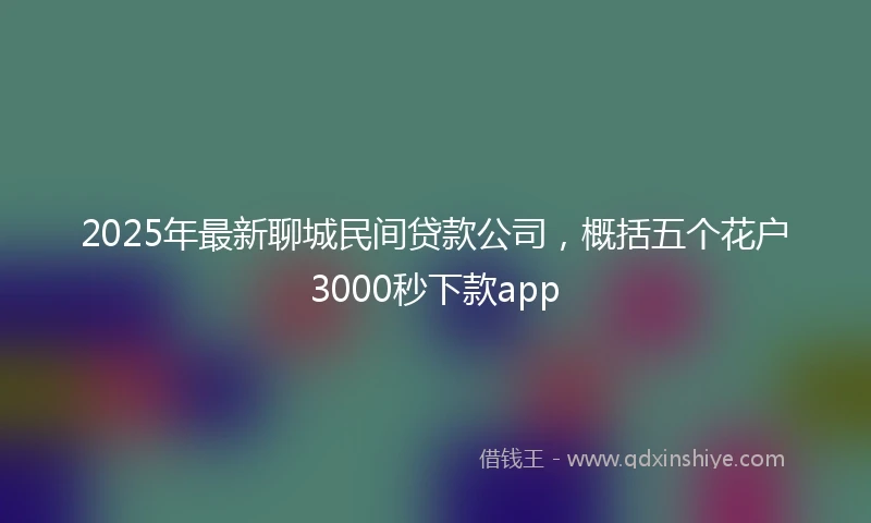 2025年最新聊城民间贷款公司，概括五个花户3000秒下款app
