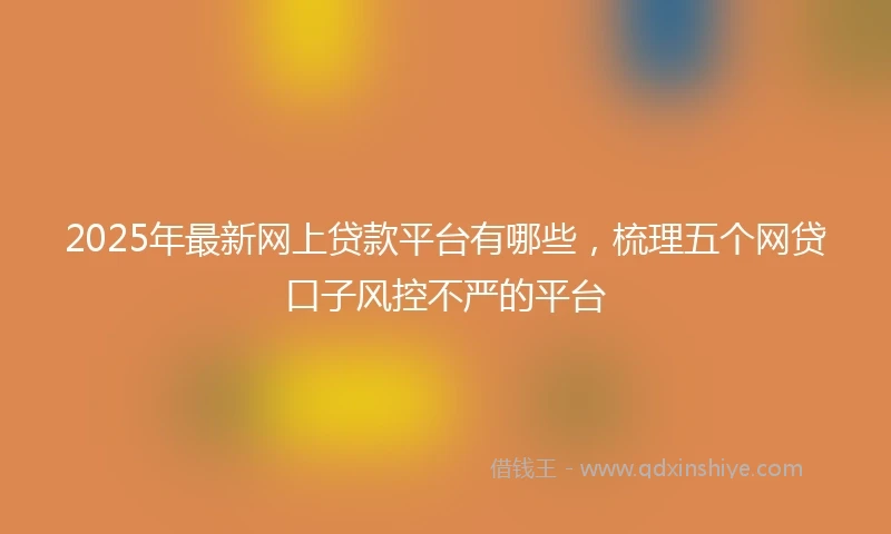 2025年最新网上贷款平台有哪些，梳理五个网贷口子风控不严的平台