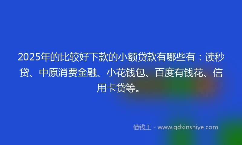 2025年的比较好下款的小额贷款有哪些有：读秒贷、中原消费金融、小花钱包、百度有钱花、信用卡贷等。