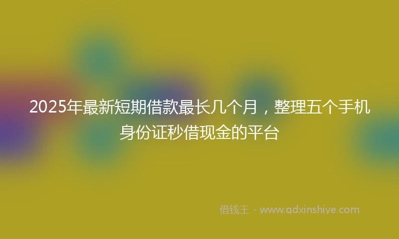 2025年最新短期借款最长几个月，整理五个手机身份证秒借现金的平台