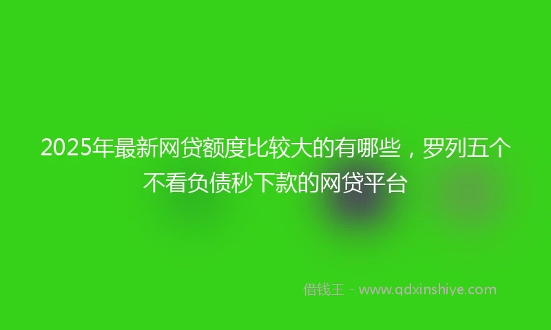 2025年最新网贷额度比较大的有哪些，罗列五个不看负债秒下款的网贷平台