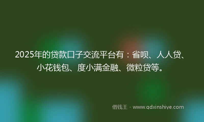 2025年的贷款口子交流平台有：省呗、人人贷、小花钱包、度小满金融、微粒贷等。
