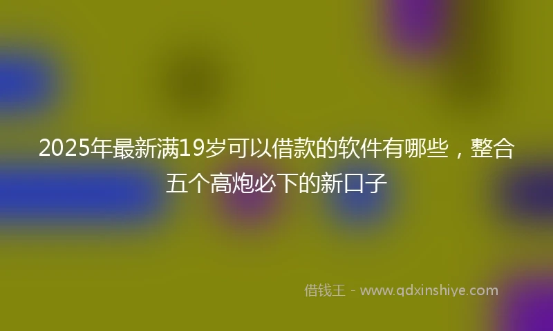 2025年最新满19岁可以借款的软件有哪些，整合五个高炮必下的新口子