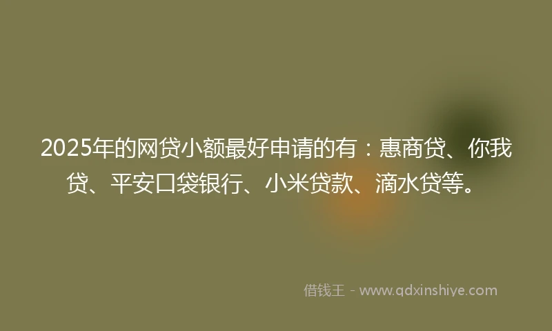 2025年的网贷小额最好申请的有：惠商贷、你我贷、平安口袋银行、小米贷款、滴水贷等。