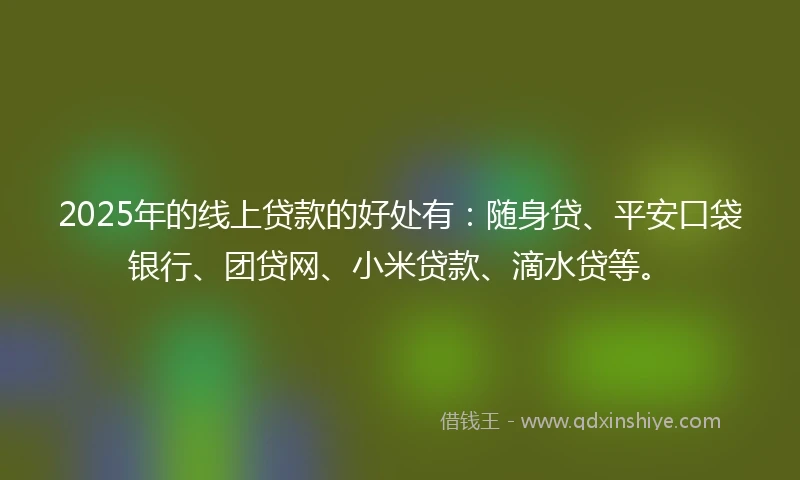 2025年的线上贷款的好处有：随身贷、平安口袋银行、团贷网、小米贷款、滴水贷等。