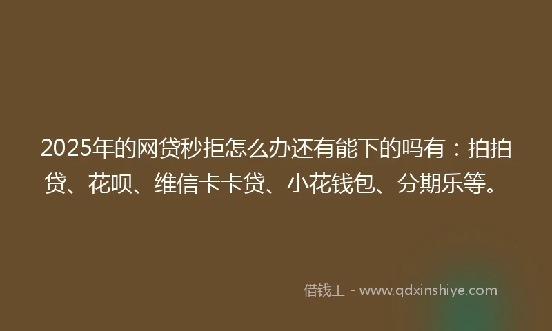 2025年的网贷秒拒怎么办还有能下的吗有：拍拍贷、花呗、维信卡卡贷、小花钱包、分期乐等。