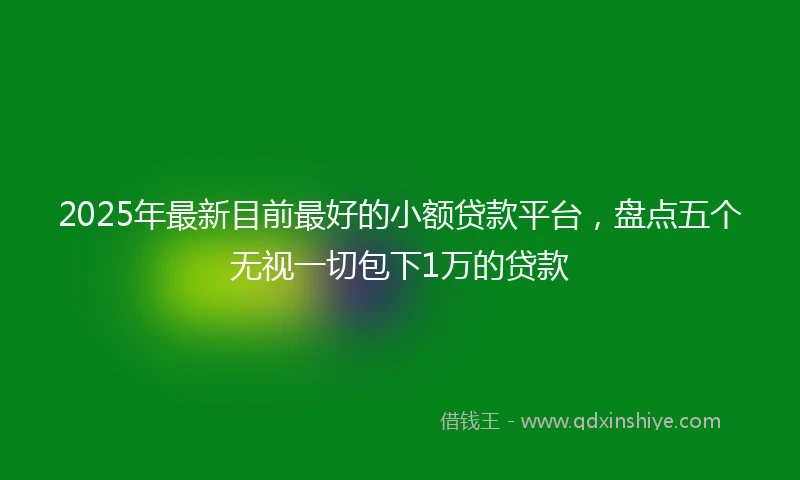 2025年最新目前最好的小额贷款平台，盘点五个无视一切包下1万的贷款