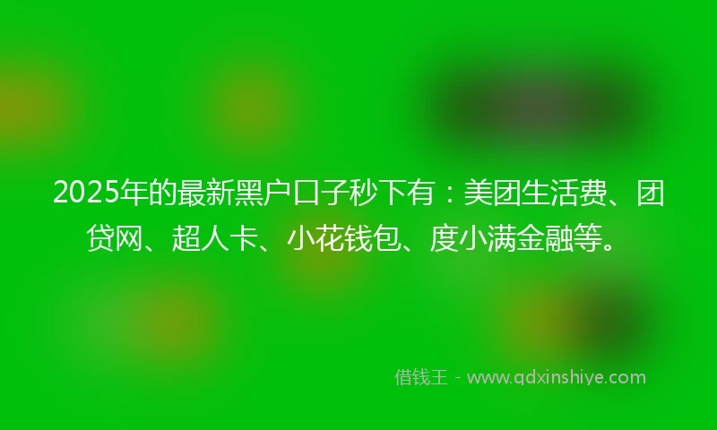 2025年的最新黑户口子秒下有：美团生活费、团贷网、超人卡、小花钱包、度小满金融等。