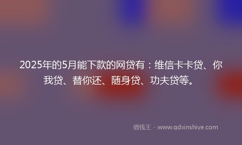 2025年的5月能下款的网贷有：维信卡卡贷、你我贷、替你还、随身贷、功夫贷等。
