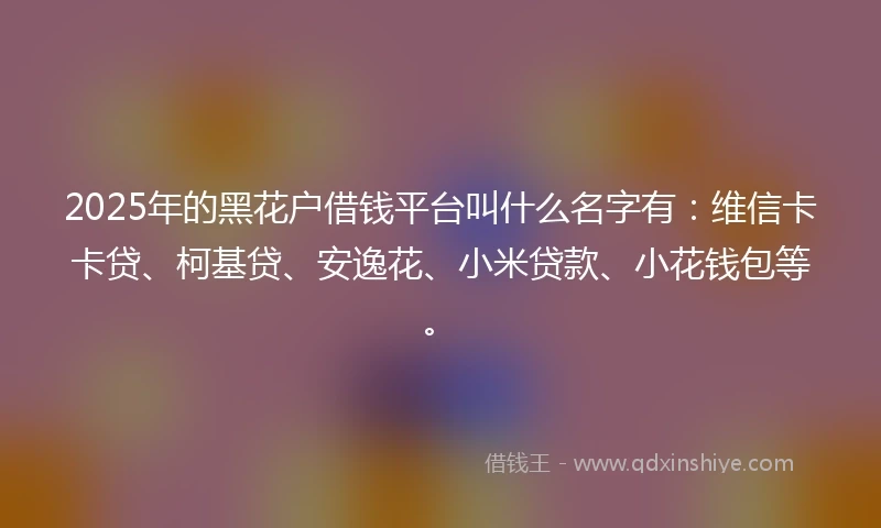 2025年的黑花户借钱平台叫什么名字有：维信卡卡贷、柯基贷、安逸花、小米贷款、小花钱包等。