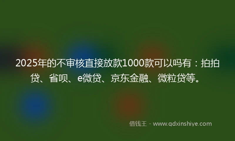2025年的不审核直接放款1000款可以吗有：拍拍贷、省呗、e微贷、京东金融、微粒贷等。