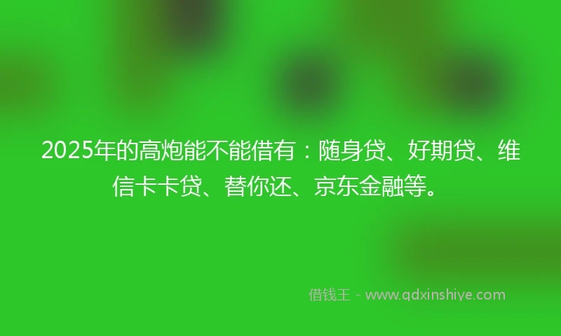 2025年的高炮能不能借有：随身贷、好期贷、维信卡卡贷、替你还、京东金融等。