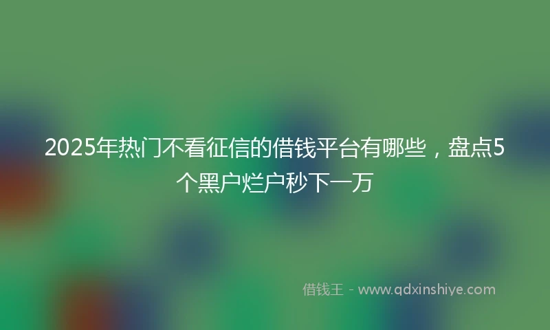 2025年热门不看征信的借钱平台有哪些,盘点5个黑户烂户秒下一万