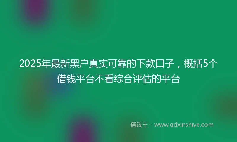 2025年最新黑户真实可靠的下款口子，概括5个借钱平台不看综合评估的平台